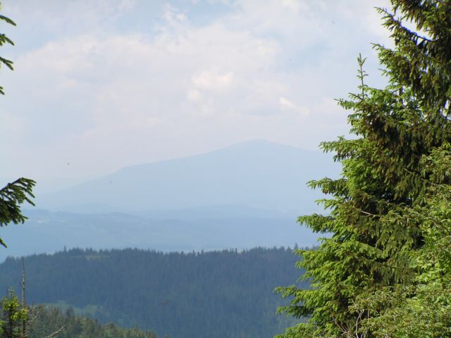 wycieczka (34)